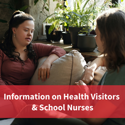 image of two women talking to each other on a sofa, text reads 'find information on health visitors and school nurses'