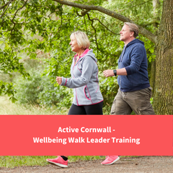 a group of walkers, text reads "Active Cornwall wellbeing walk leader training"