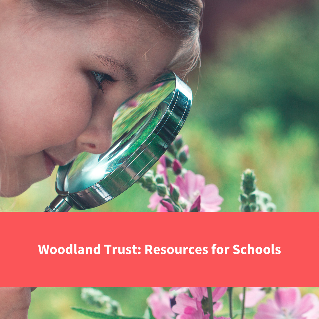 child with magnifying glass, text reads woodland trust resources for schools