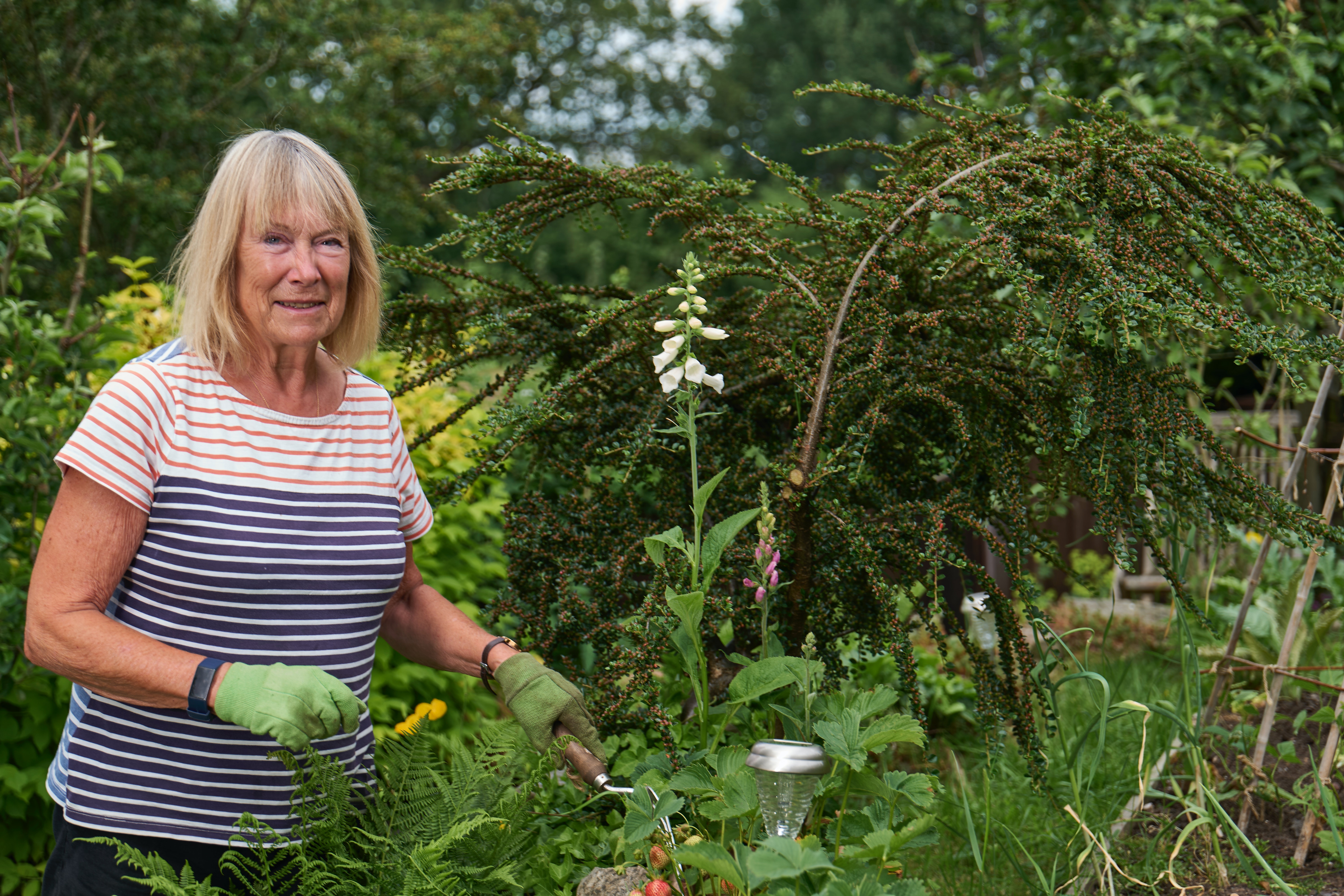 Menopause Awareness Workshop