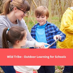 children learning outdoors, text reads "wild tribe - outdoor learning for schools"