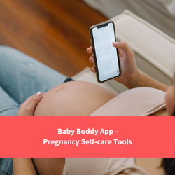 pregnant woman holding her phone, text reads "Baby Buddy App - pregnancy self care tools"
