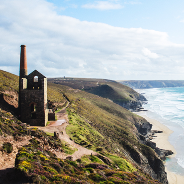 An image of Director of Public Health Report