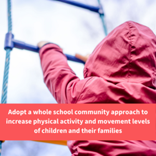 a child climbing a rope ladder, text reads "adopt a whole school community approach to increase physical activity and movement levels of children and their families"