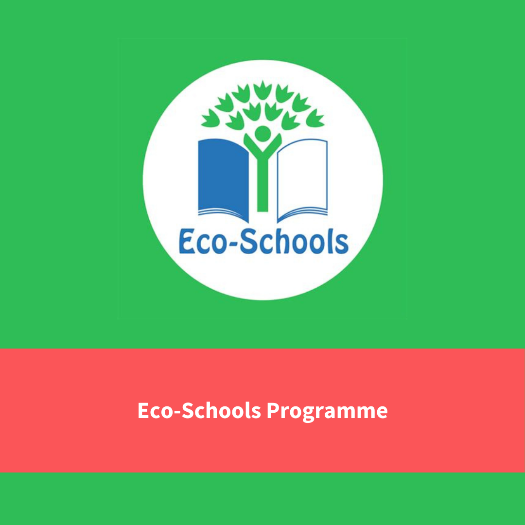 text reads "eco schools programme"