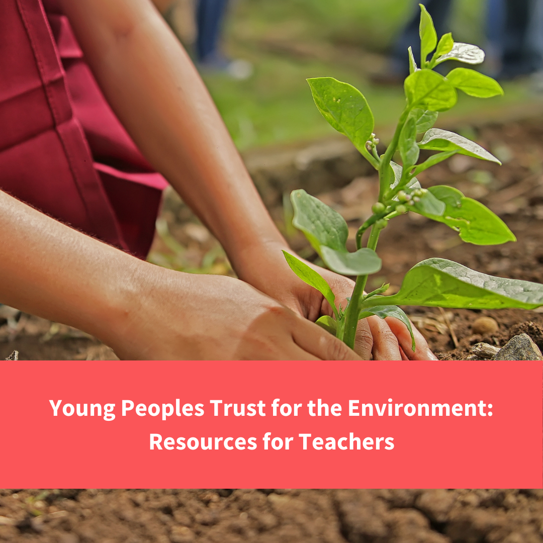 child planting a plant in the ground, text reads "young peoples trust for the environement"