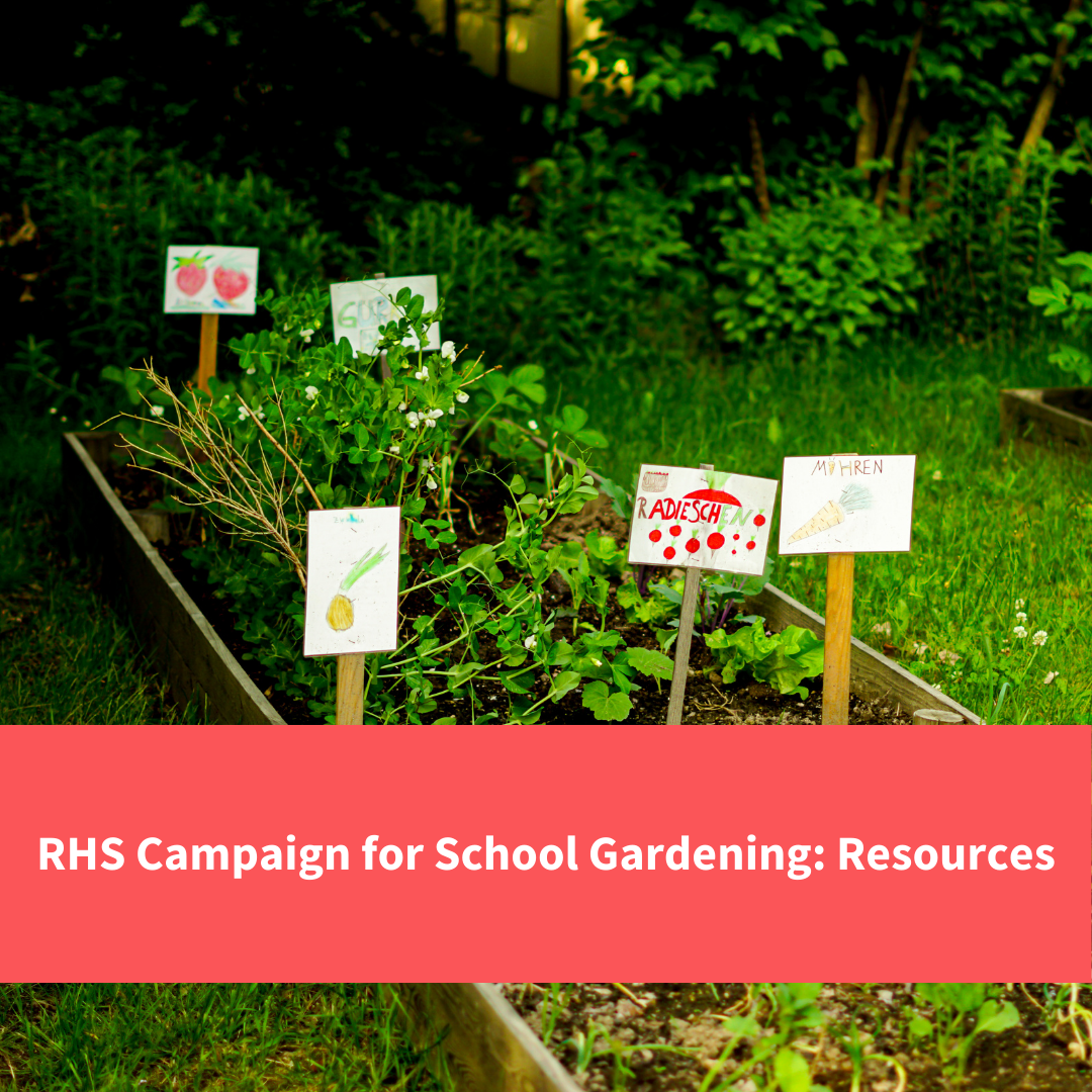 school garden patch, text reads "RHS school gardening resources"