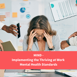 person feeling stressed at work, text reads "MIND - implementing the thriving at work mental health standards"